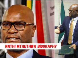 nathi mthethwa biography