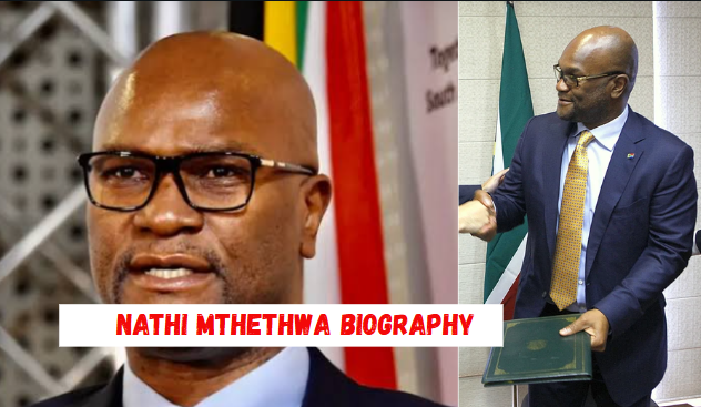 nathi mthethwa biography