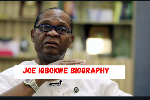 joe igbokwe biography joe igbokwe biography